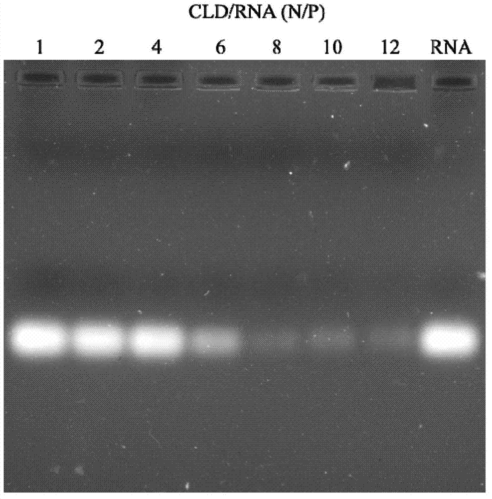 Positive ion nanostructure lipid carrier, manufacturing method and application thereof