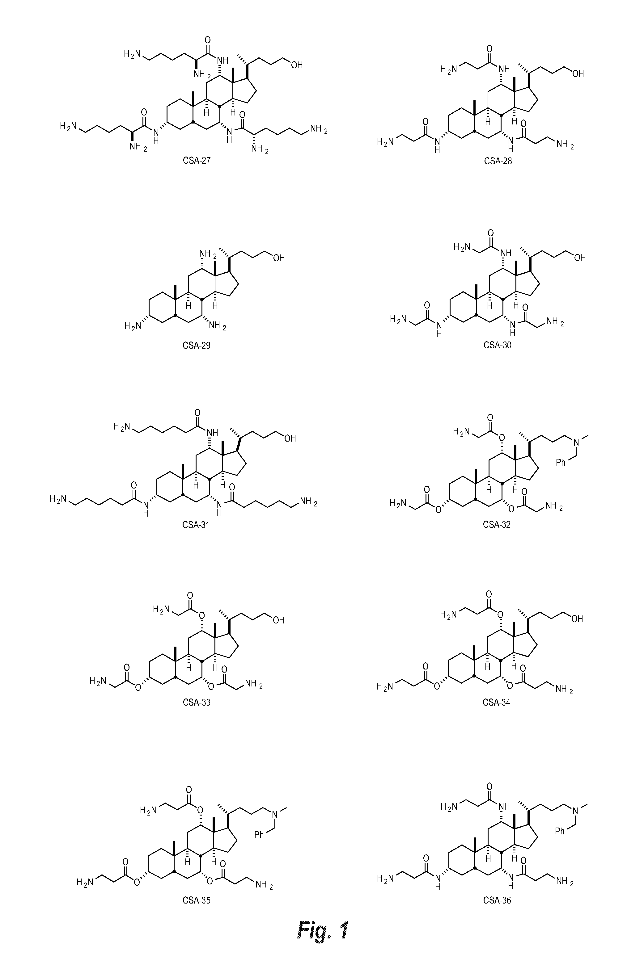Storage-stable, anti-microbial compositions including ceragenin compounds and methods of use