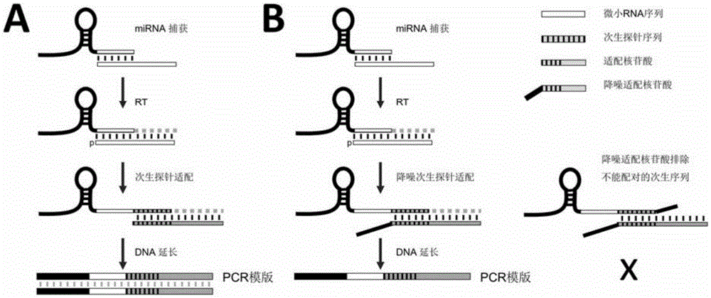 Method for directly detecting miRNA in absolute quantification mode