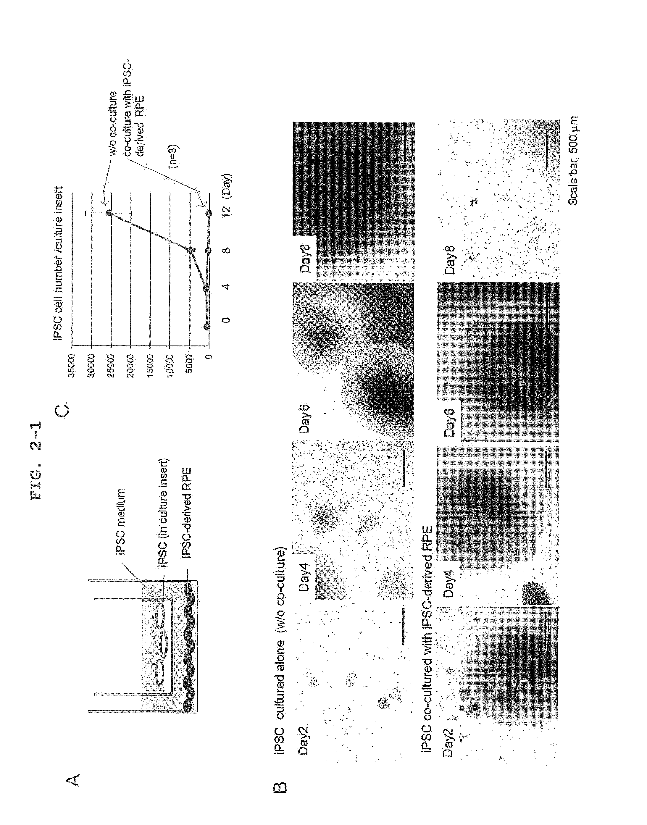 Cell sorting method