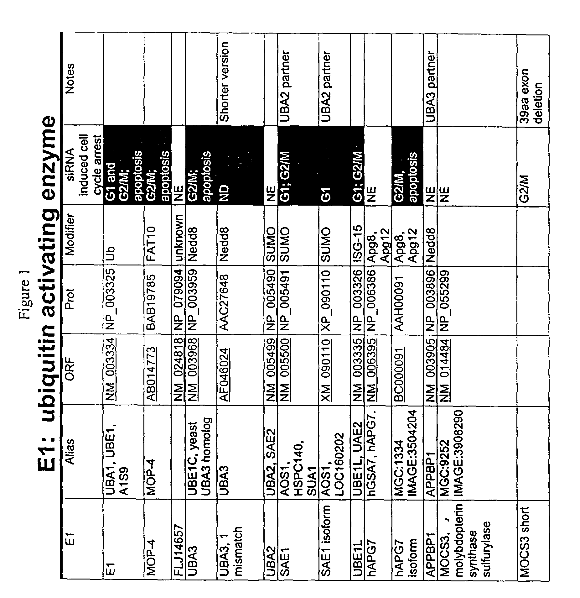 Methods of assaying for cell cycle modulators using components of the ubiquitin ligation cascade