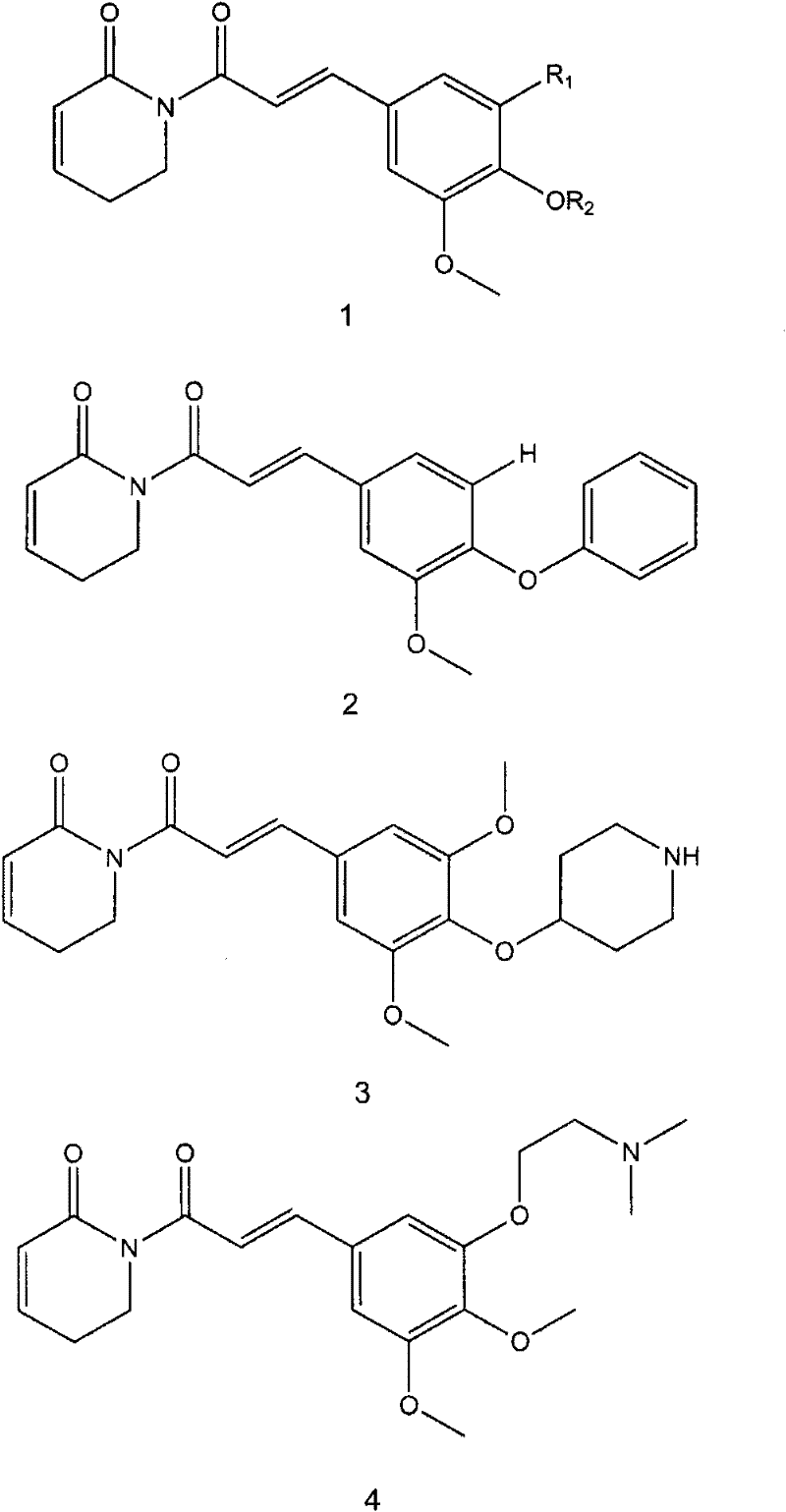 Use of piperlongumine derivatives in preparation of medicines for treating cancers and medicinal compositions thereof