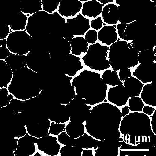 Preparation method of porous graphene-polymer composite material