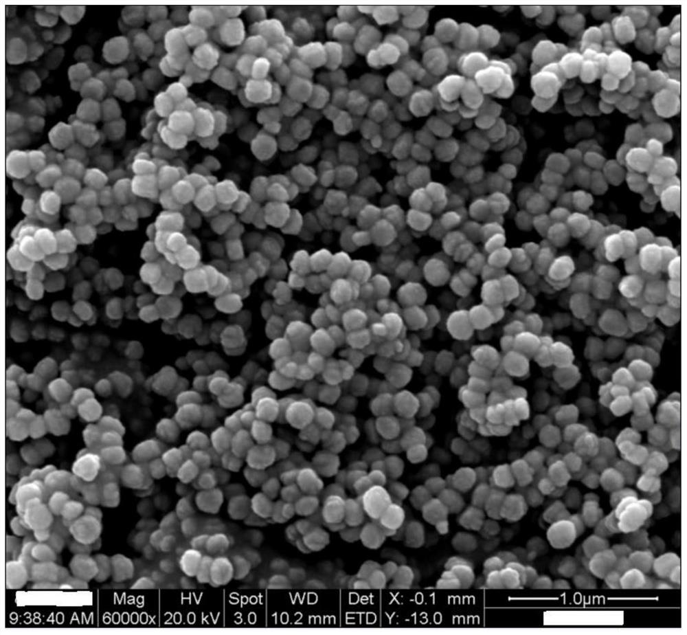 Preparation method of silicate-1 molecular sieve catalyst, catalyst and method for preparing caprolactam