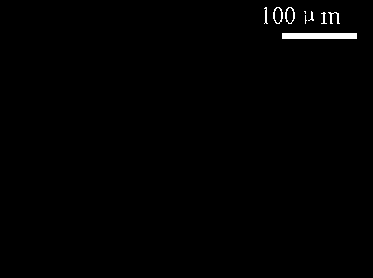 Antimony-containing modifier for zinc-copper alloy and modification treatment method