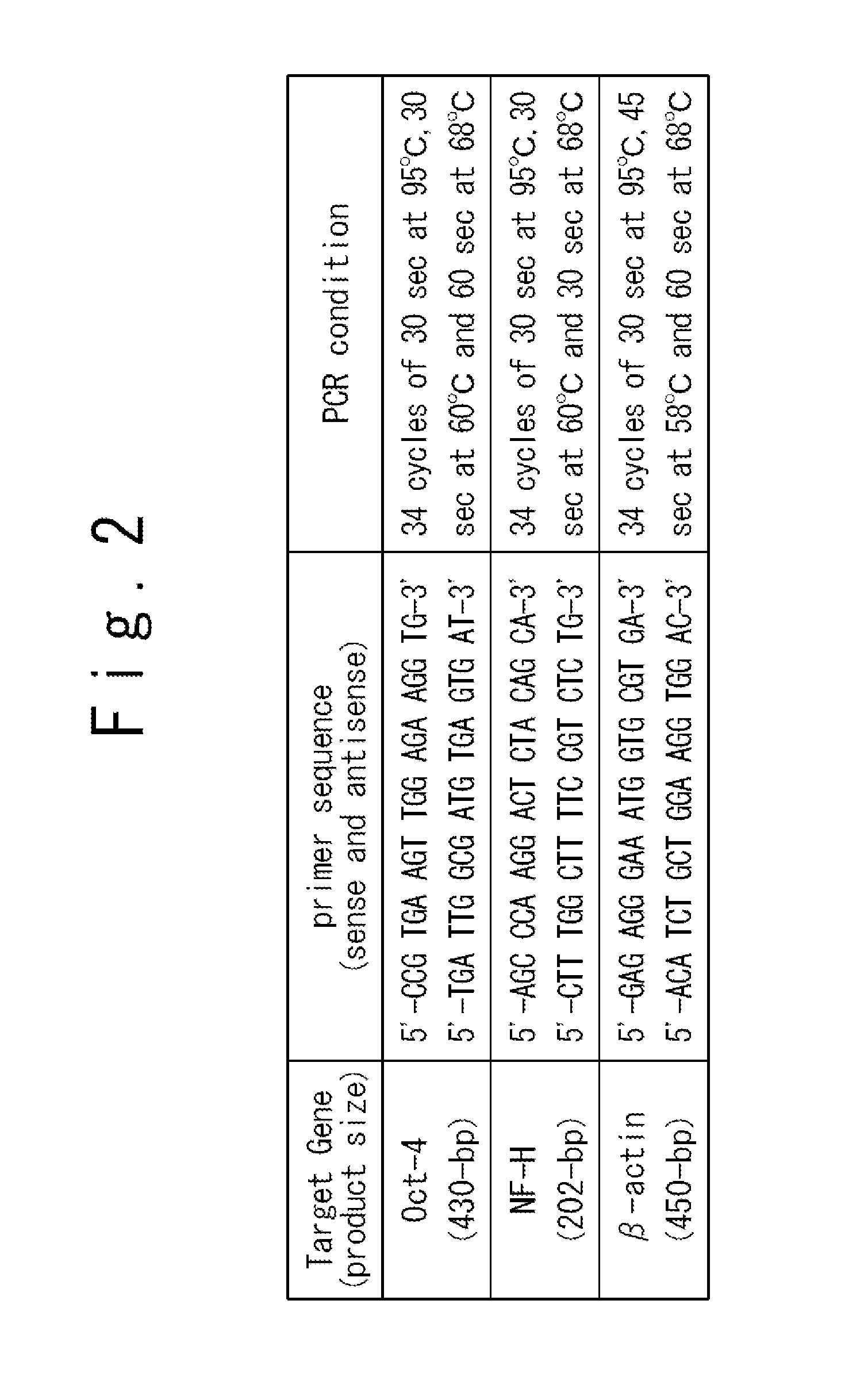 Culture methods of bone marrow stromal cells and mesenchymal stem cells, and manufacture method of graft cells for central nerve system diseases therapy