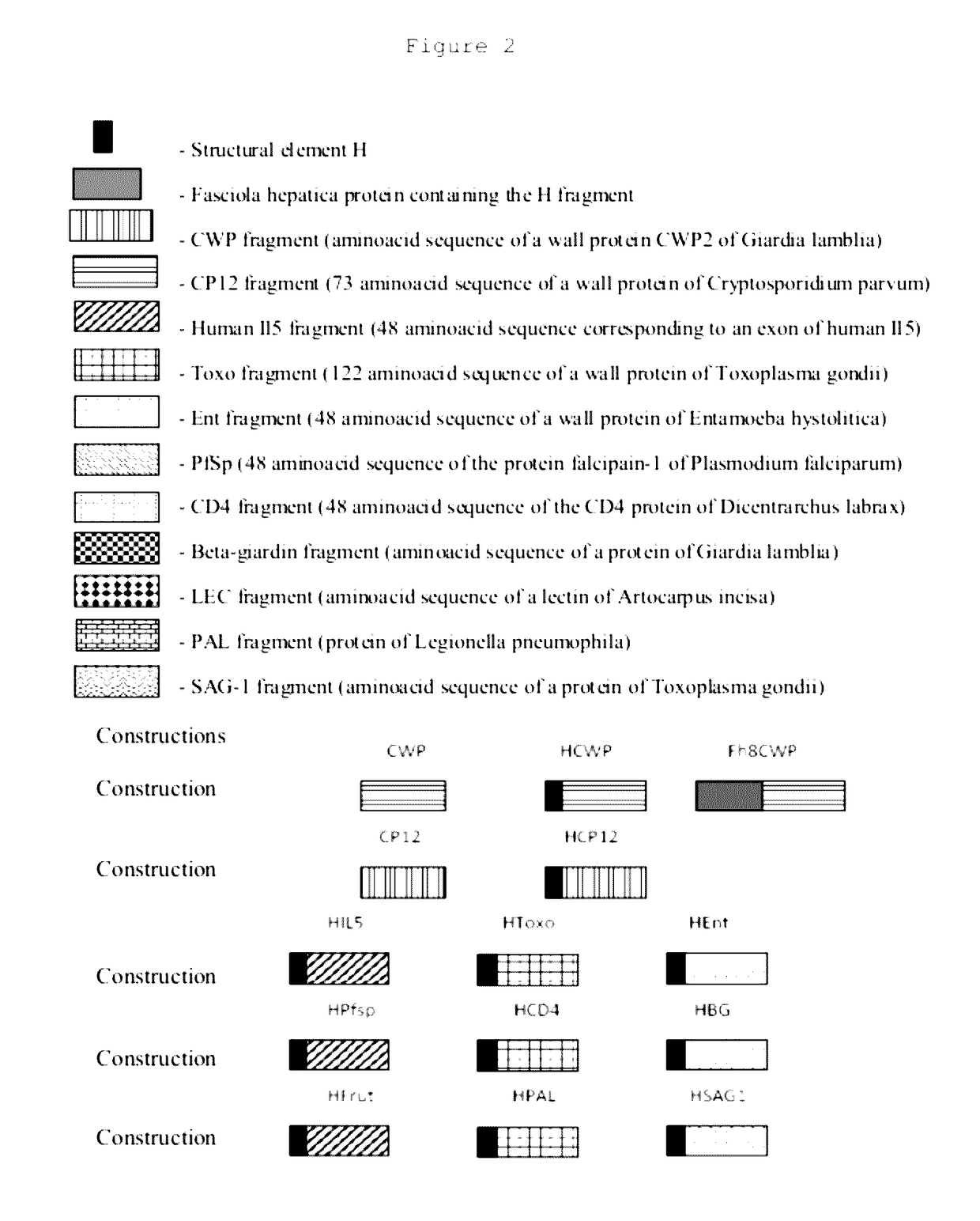 Immunogens, compositions and uses thereof, method for preparing same