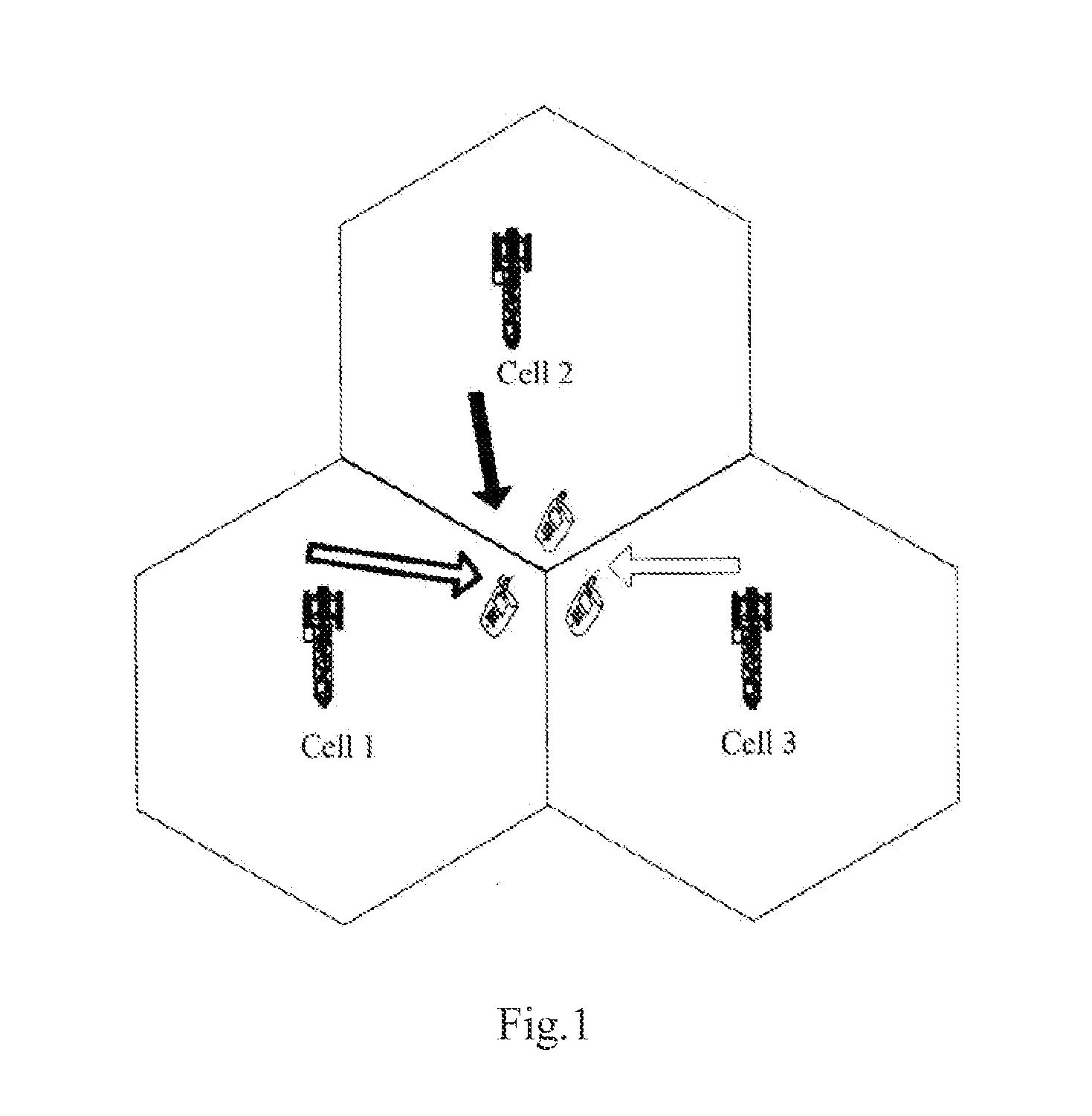 Method of and apparatus for interference measurement in coordinated multipoint transmission