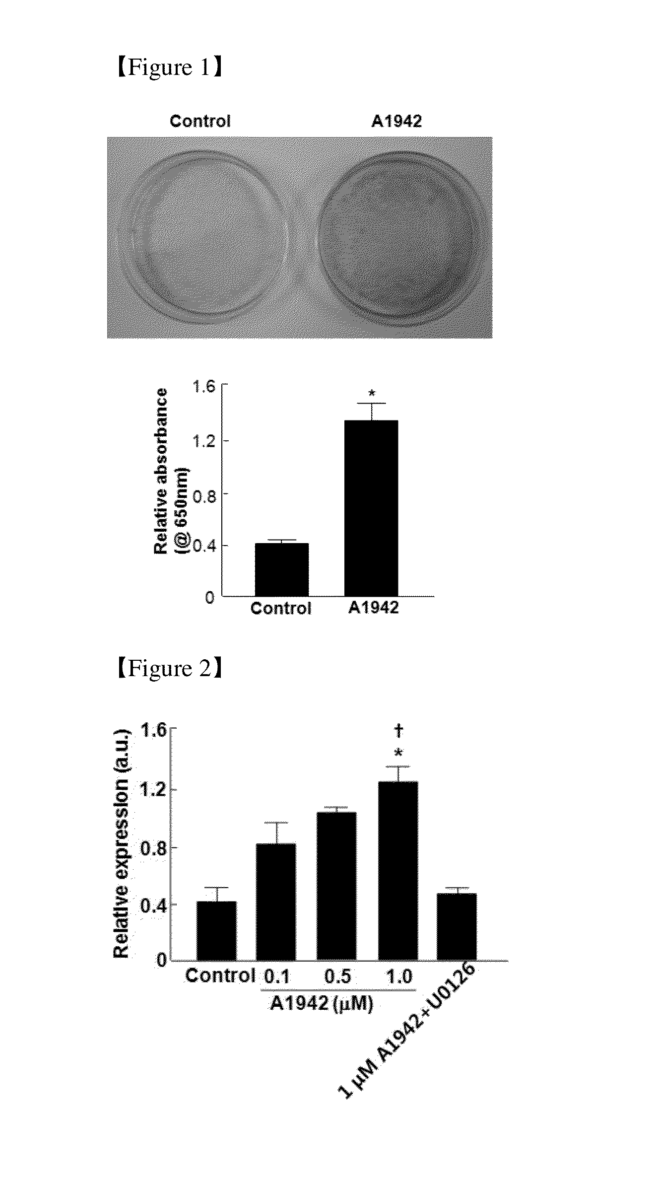 Use of Compounds for Inducing Differentiation of Mesenchymal Stem Cells to Chondrocytes