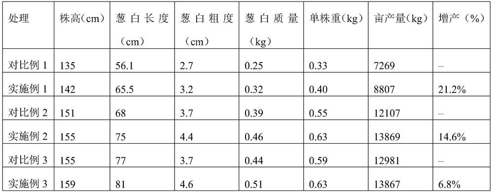 A kind of medicinal fertilizer for Zhangqiu scallions and a method for applying medicinal fertilizers to prevent continuous cropping obstacles of scallions