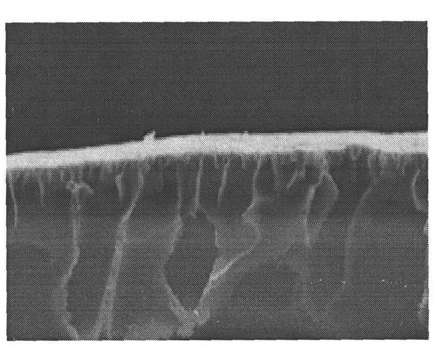 Preparation method of non-woven fabric or weaving cotton cloth supporting ultra-filtration/micro-filtration composite membrane