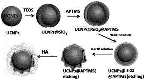 Nano carrier with tumor targeted wrinkled core-shell structure