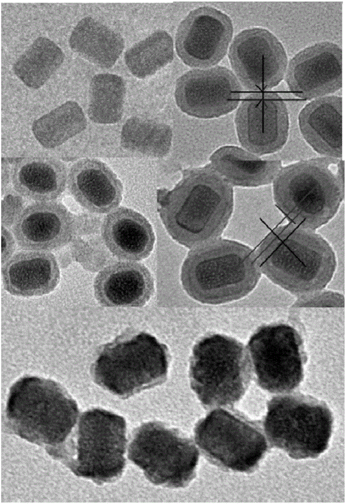 Nano carrier with tumor targeted wrinkled core-shell structure