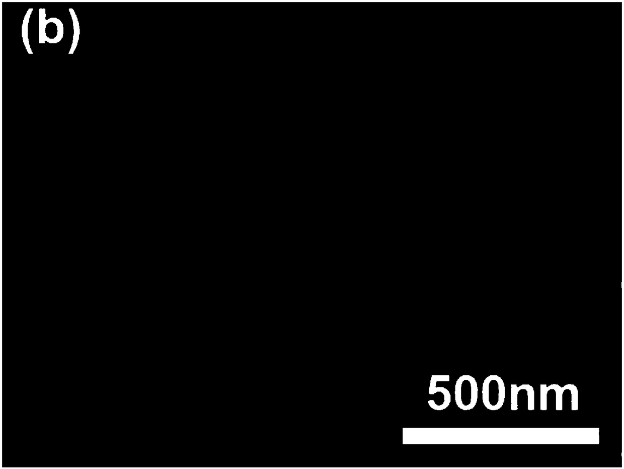 Method for fast preparing small-particle-diameter anatase type nanometer titanium dioxide