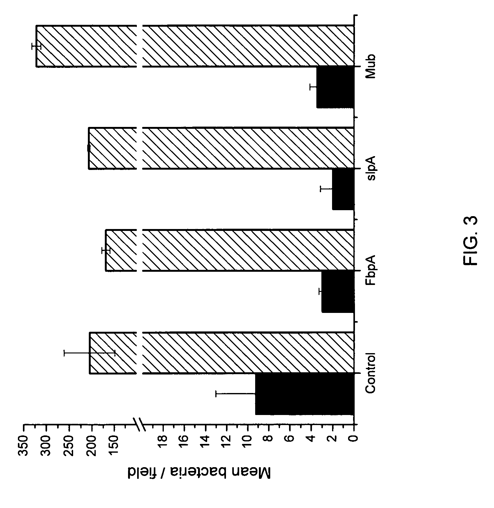 Methods and compositions to modulate adhesion and stress tolerance in bacteria