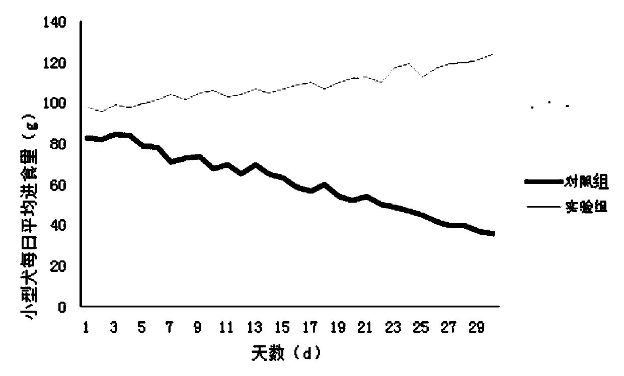 Feed inducing agent for applying fermentation duck stomach to improve feeding sustained-effect of pet dog and preparation method