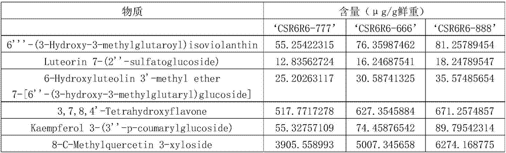 Sweet and soft high flavonoid apple wine and preparation method thereof