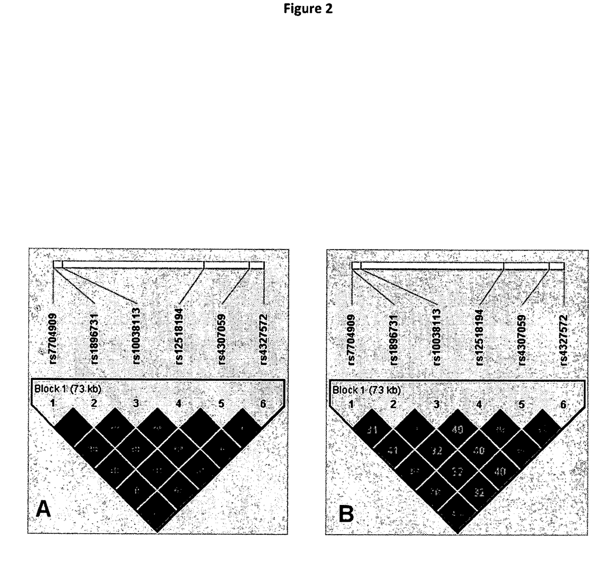 Genetic alterations associated with autism and the autistic phenotype and methods of use thereof for the diagnosis and treatment of autism