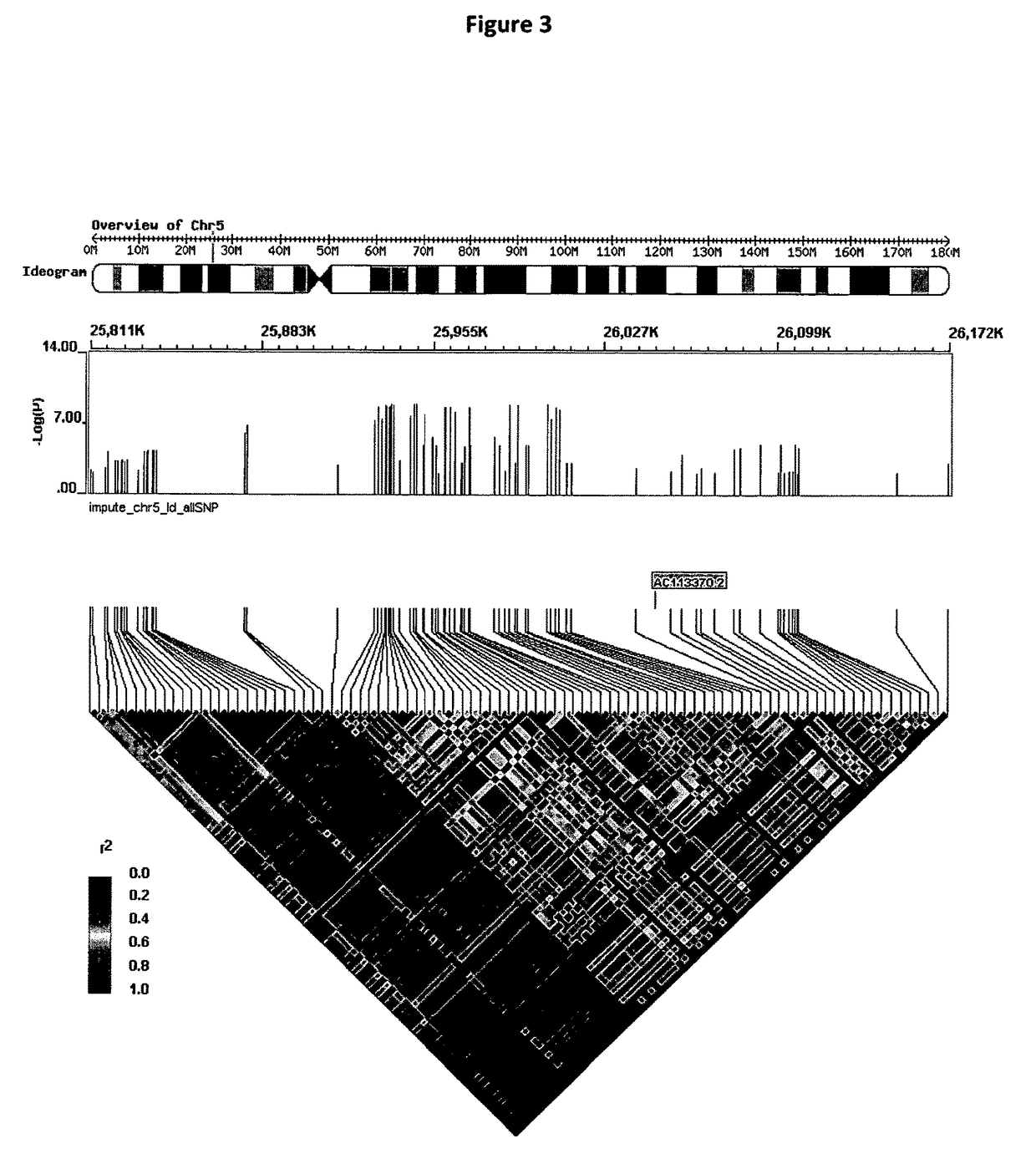 Genetic alterations associated with autism and the autistic phenotype and methods of use thereof for the diagnosis and treatment of autism