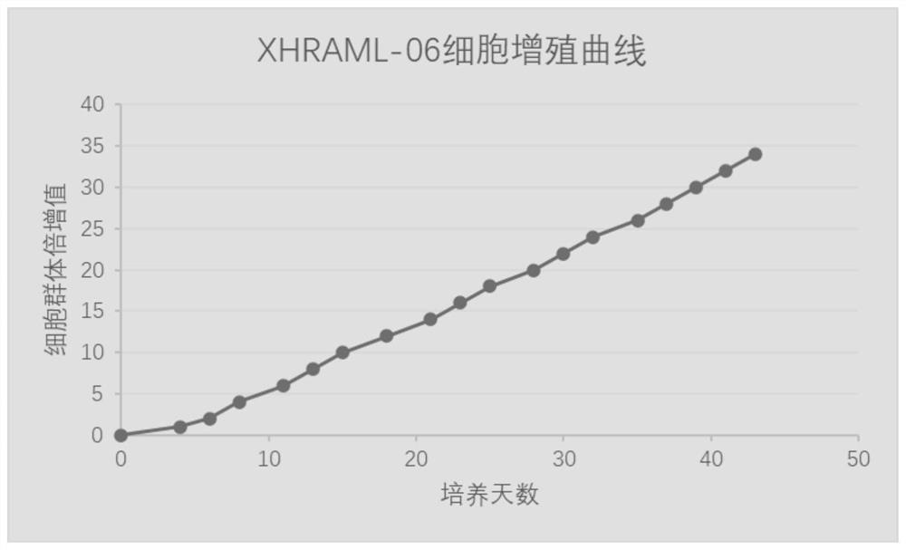 Human renal vascular smooth muscle lipoma primary cell, human renal vascular smooth muscle lipoma progeny cell and applications thereof