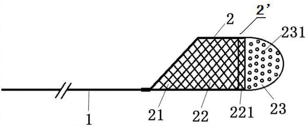 Cerebral vessel distal-end protector and film coating method for same