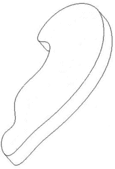 Biological-compatibility artificial ear and in-vitro rapid construction method thereof