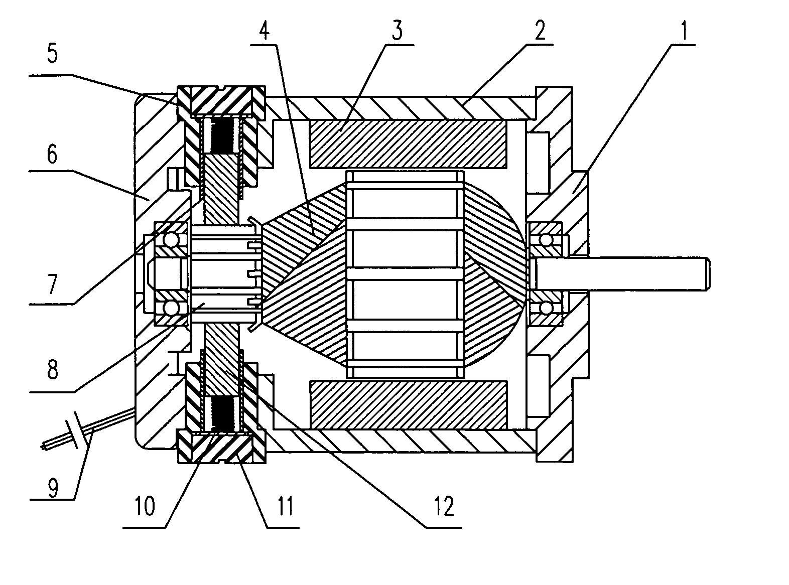 DC motor with externally mounted carbon brush