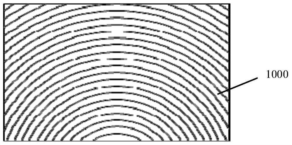 Projection screen and its processing method