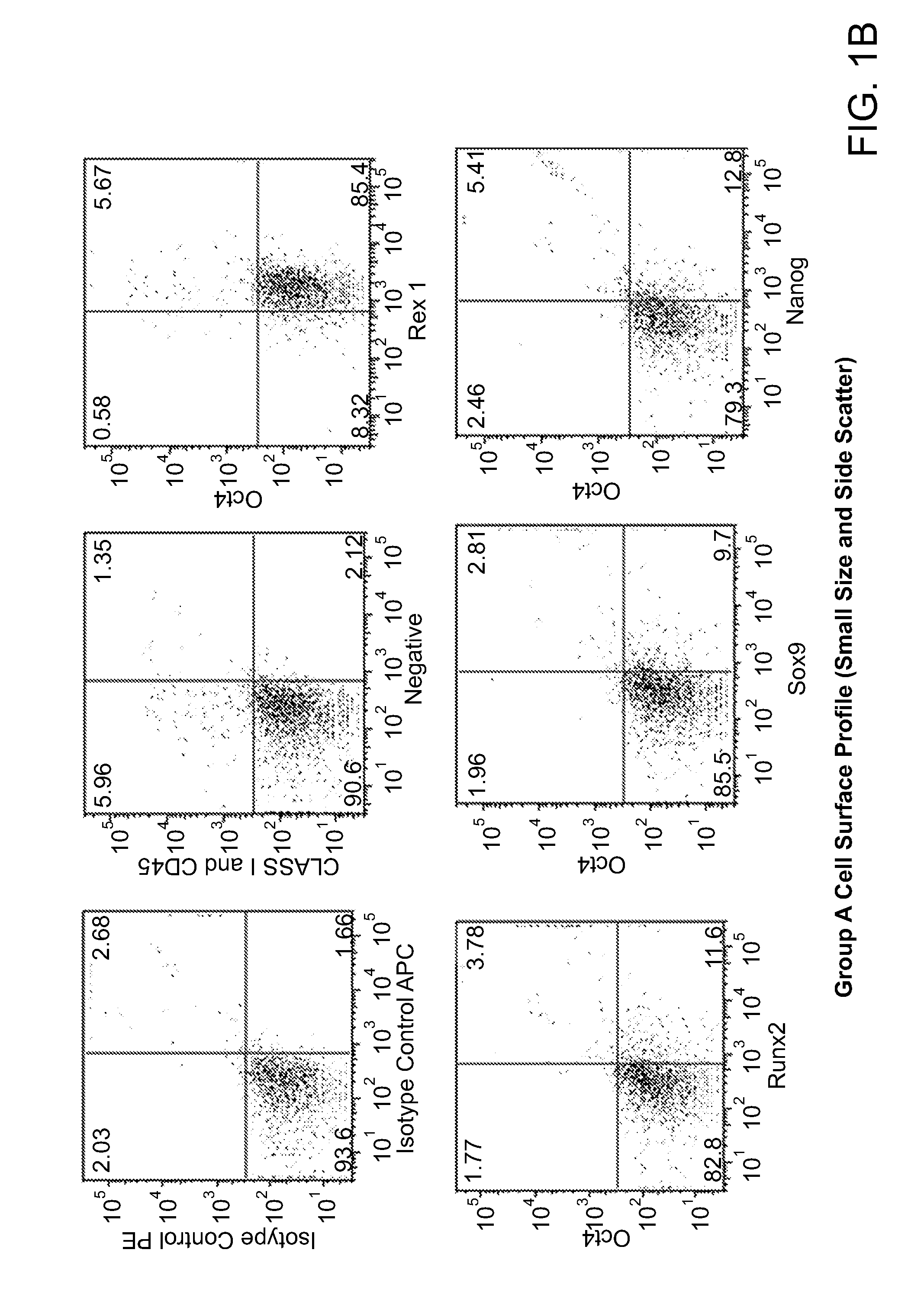 Multipotent stem cells and uses thereof