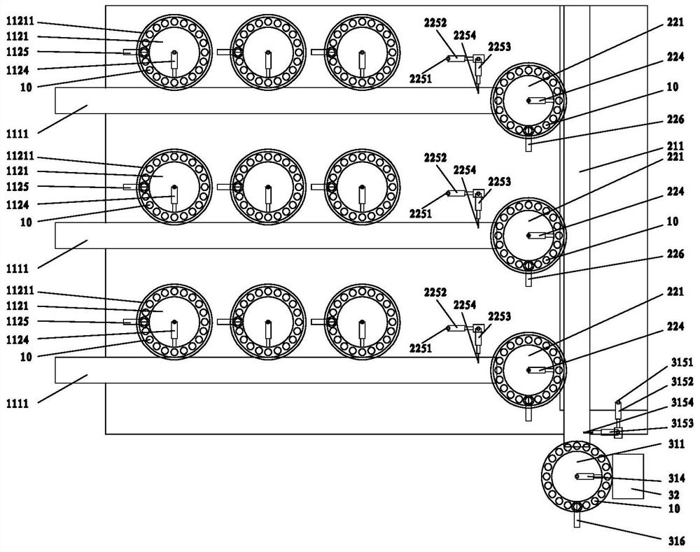 A kind of high-efficiency breeding method of clematis