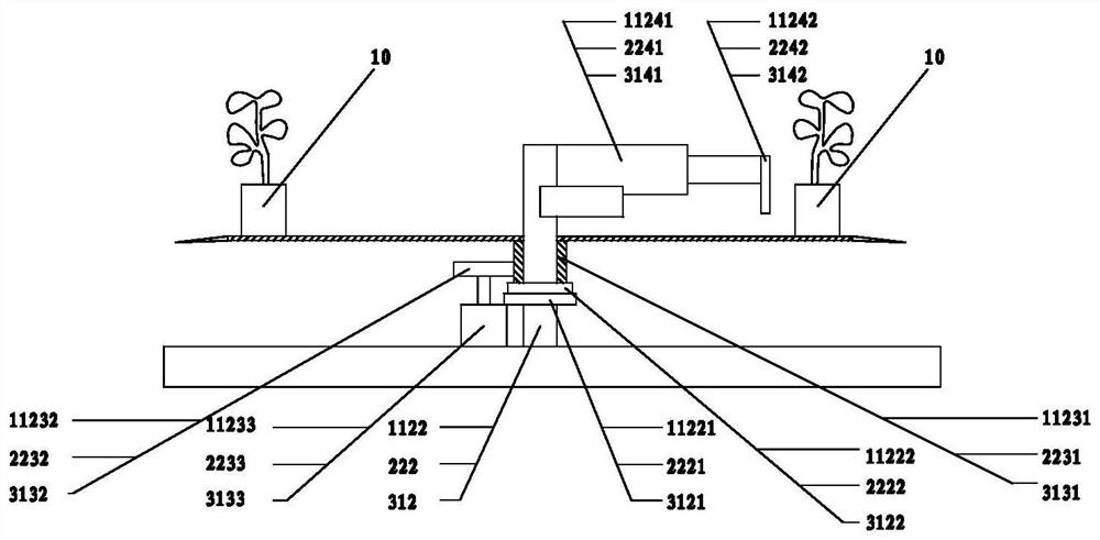 A kind of high-efficiency breeding method of clematis