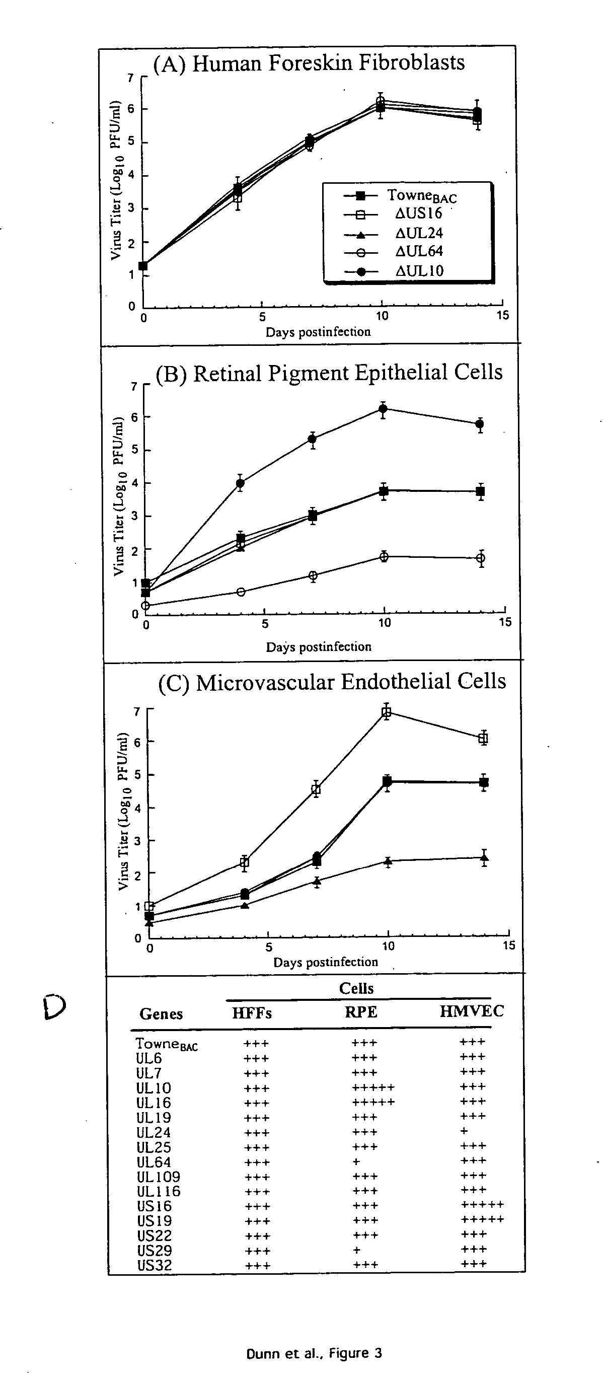 Cytomegalovirus gene function and methods for developing antivirals, anti-CMV vaccines, and CMV-based vectors
