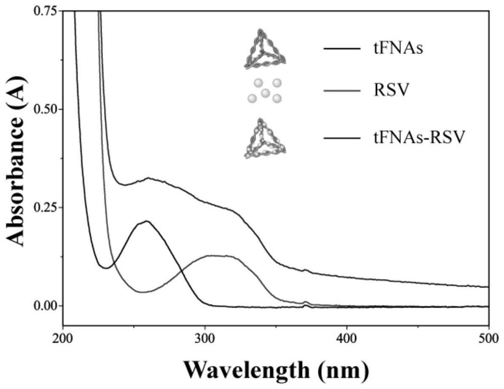 A kind of dna tetrahedron-resveratrol complex and its preparation method and use