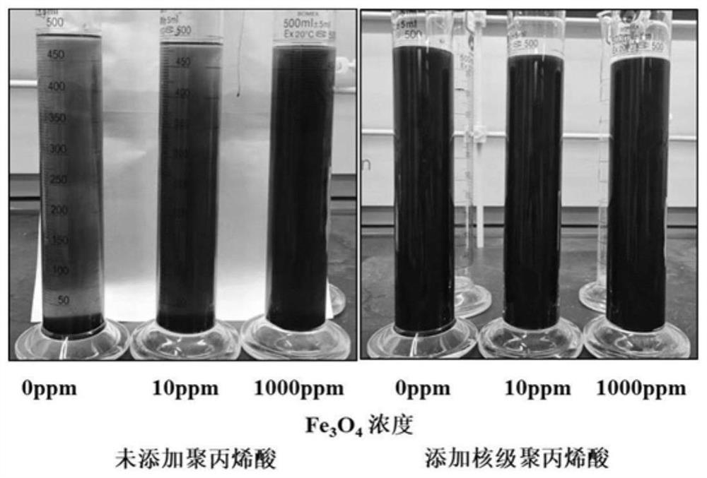 Nuclear-grade polyacrylic acid as well as preparation method and application thereof