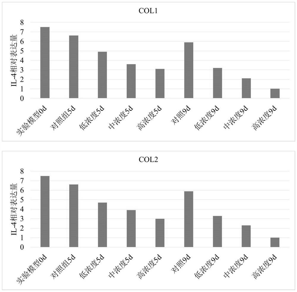 Application of recombinant humanized collagen and related composition and preparation method thereof