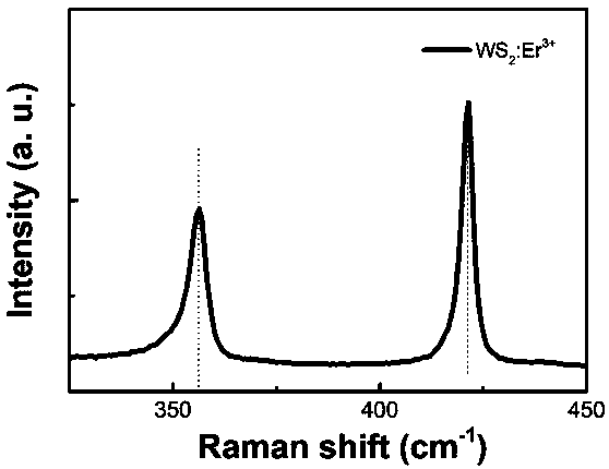 Preparation method of rare earth erbium doped tungsten disulfide thin film material with controllable layers