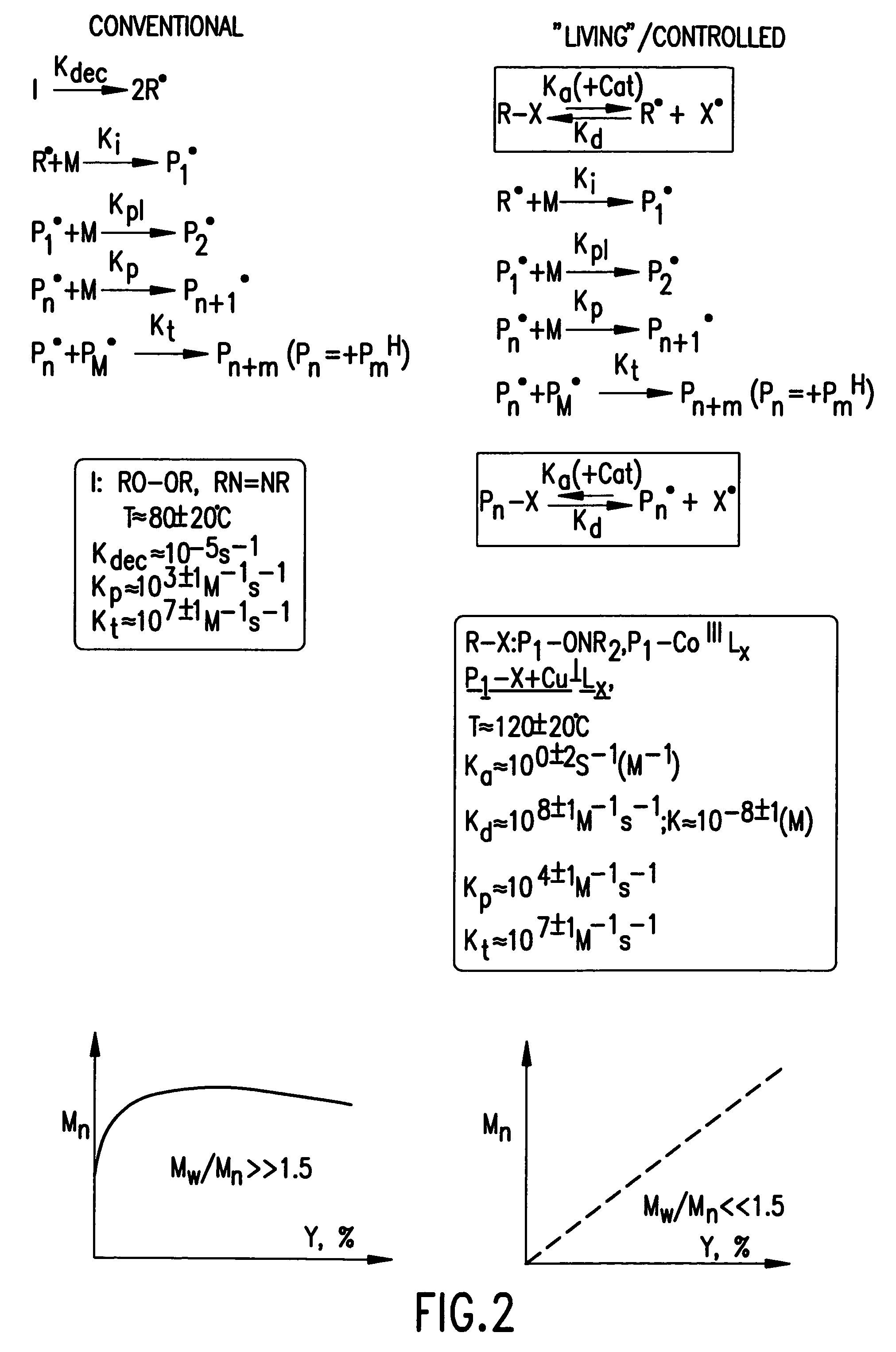 Processes based on atom (or group) transfer radical polymerization and novel (co)polymers having useful structures and properties