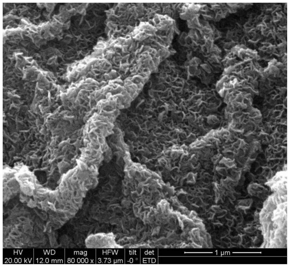 MoS2 nanosheet vertically embedded biochar nano composite material, and preparation method and application thereof