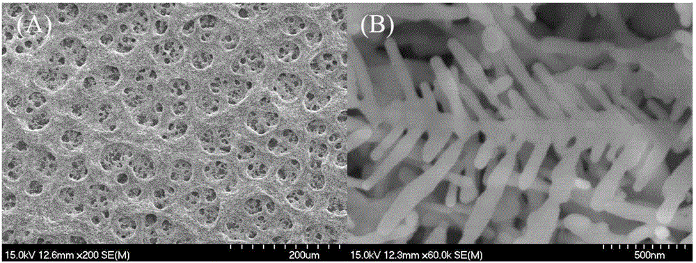 Disposable surface-enhanced Raman spectroscopy chip and preparation method