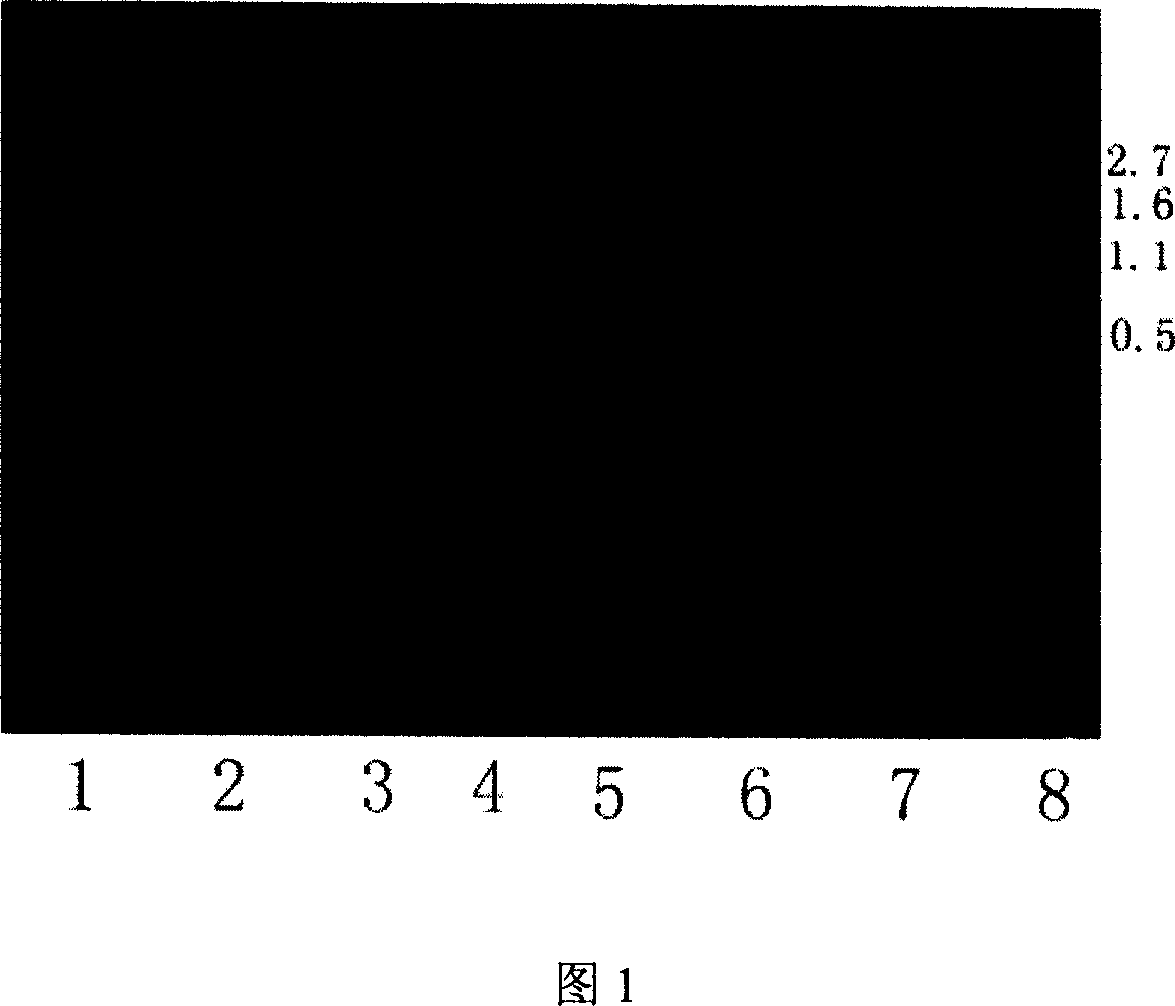Preparation method of active carboxypeptidase B