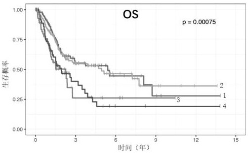 Construction method of mibc typing and prognosis prediction model based on microbial abundance