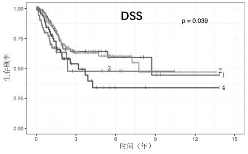 Construction method of mibc typing and prognosis prediction model based on microbial abundance