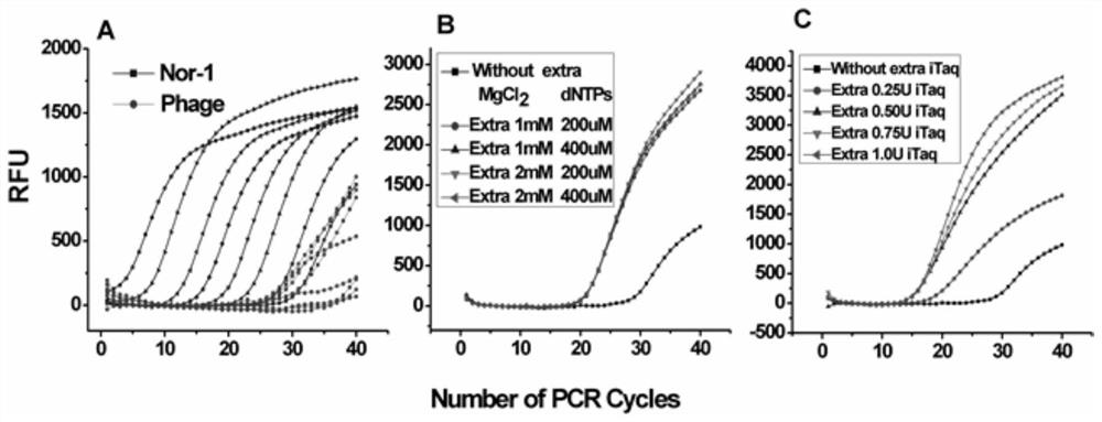 Simultaneous detection of aflatoxin production and nor-1 gene transcription rt-pcr kit and its detection method