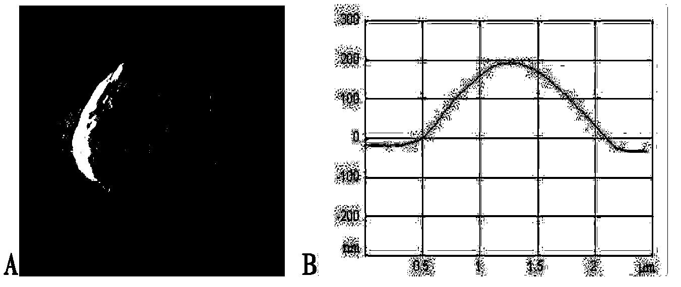 Antimicrobial physical method