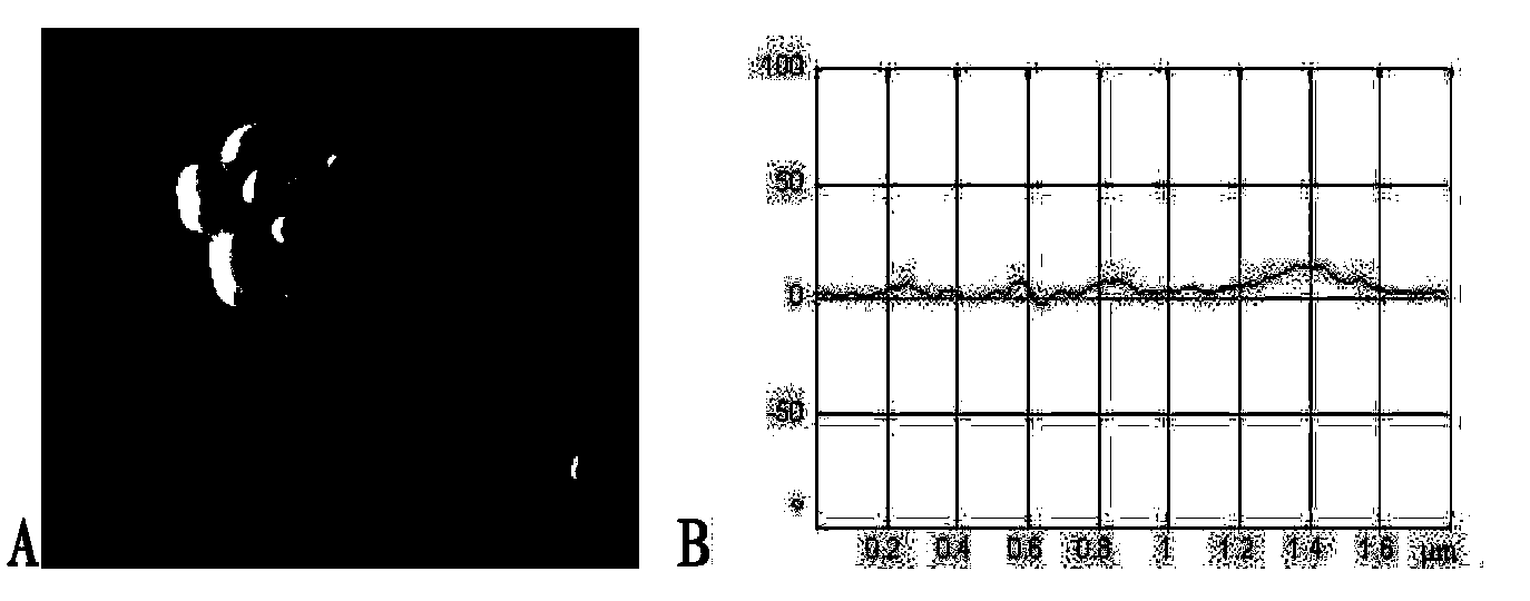 Antimicrobial physical method