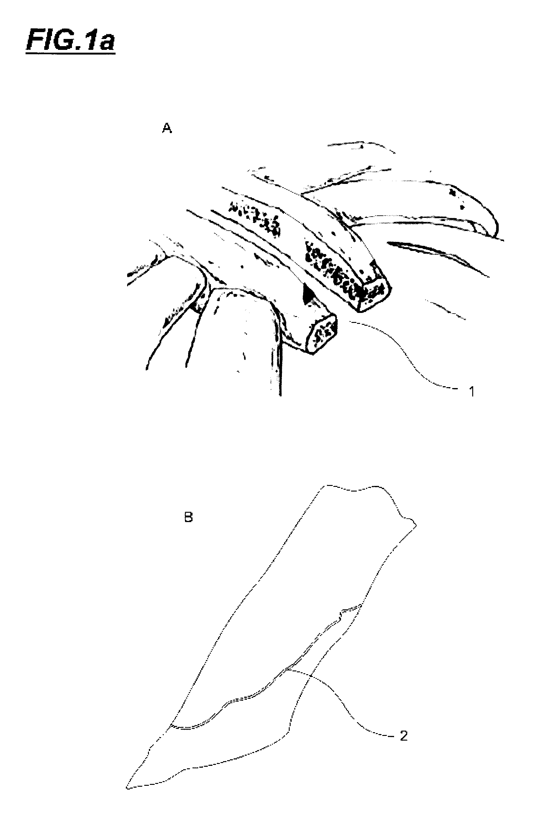 Shears with tensioner and dynamometer device