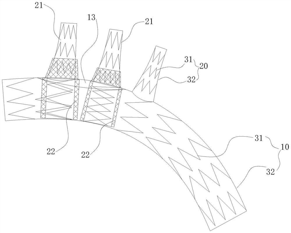 Combined intravascular stent with branch and implantation method thereof