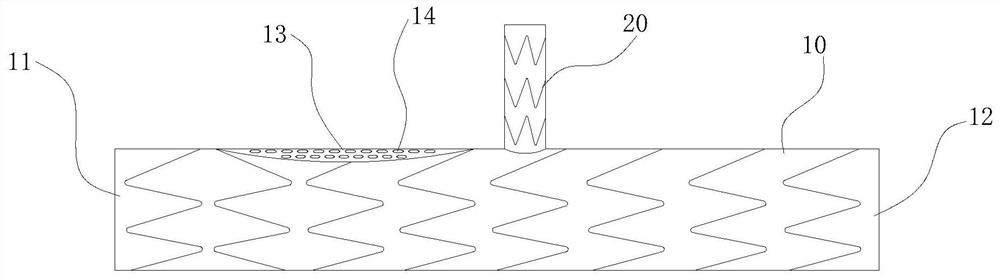 Combined intravascular stent with branch and implantation method thereof