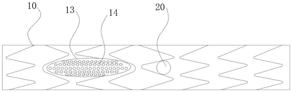 Combined intravascular stent with branch and implantation method thereof