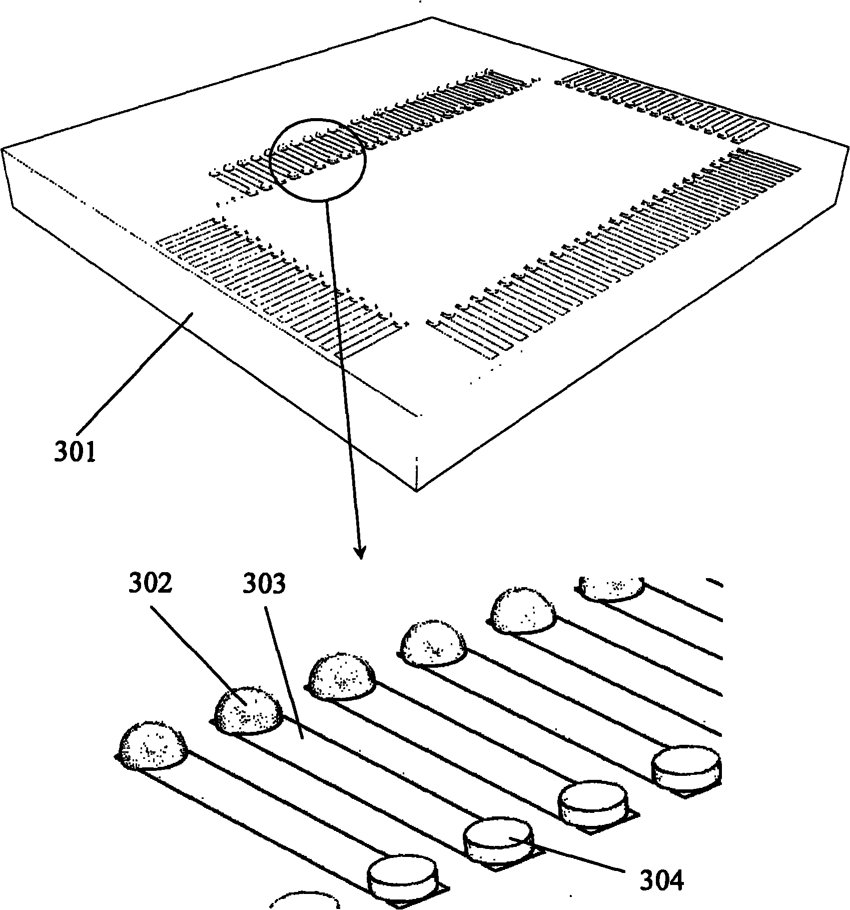 Multipath parallel photoelectric module structure and assembly method thereof
